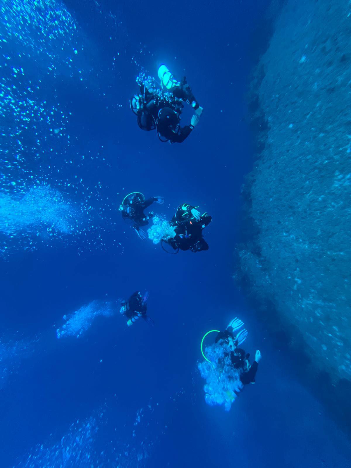 Contact image