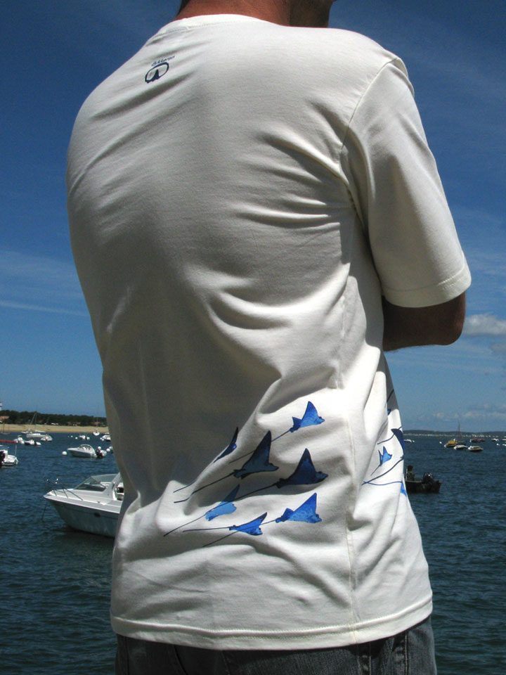 shop_eagle_rays_fairtrade_mc_H_ecru_bleu_2