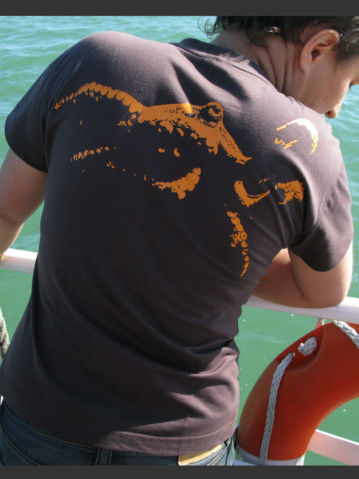 shop_octopus_mc_F_chocolat_orange_1_1